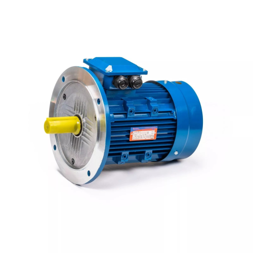 5АИ 100 L2 5.5/3000 IM3081